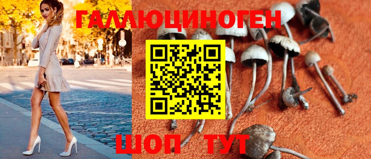 Тихвин  цены наркотик  Вход с VPN  Псилоцибиновые грибы MAGIC MUSHROOMS 